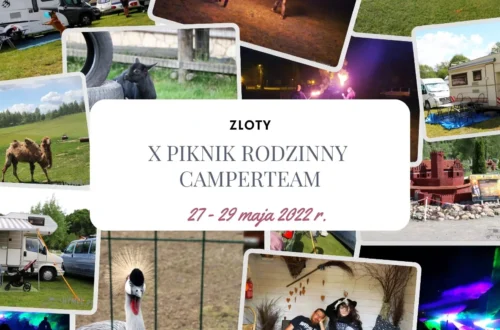 Deszcz, dinozaury i wielbłąd za szybą – nasza relacja z X Piknik Rodzinny CamperTeam w Bałtowie - Hymek.pl