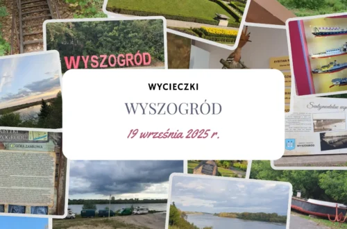 Koty, drewniany most i tysiąc lat historii. Dlaczego warto odwiedzić Wyszogród? - Hymek.pl