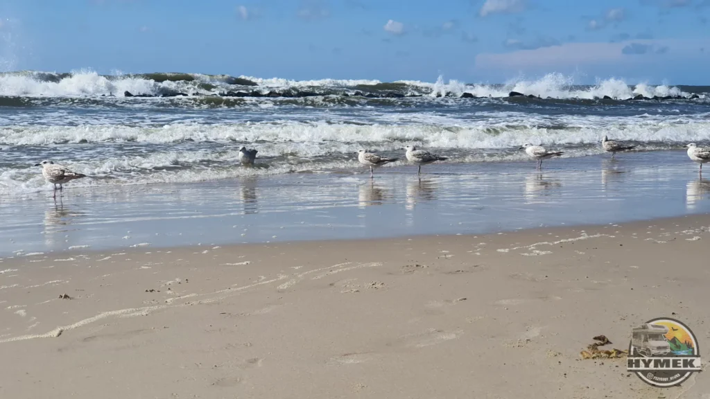 Plaża i morze w Darłówku Wschodnim - Hymek.pl