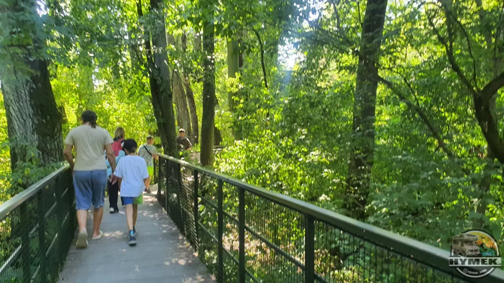Park "Dolina Wkry" - Spacer w koronach drzew Pomiechówek - Hymek.pl