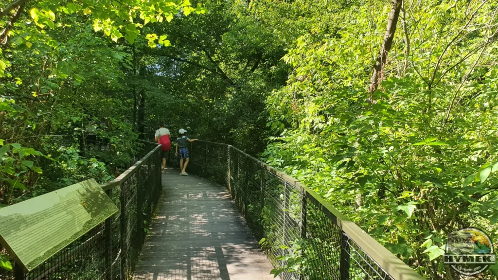 Park "Dolina Wkry" - Spacer w koronach drzew Pomiechówek - Hymek.pl