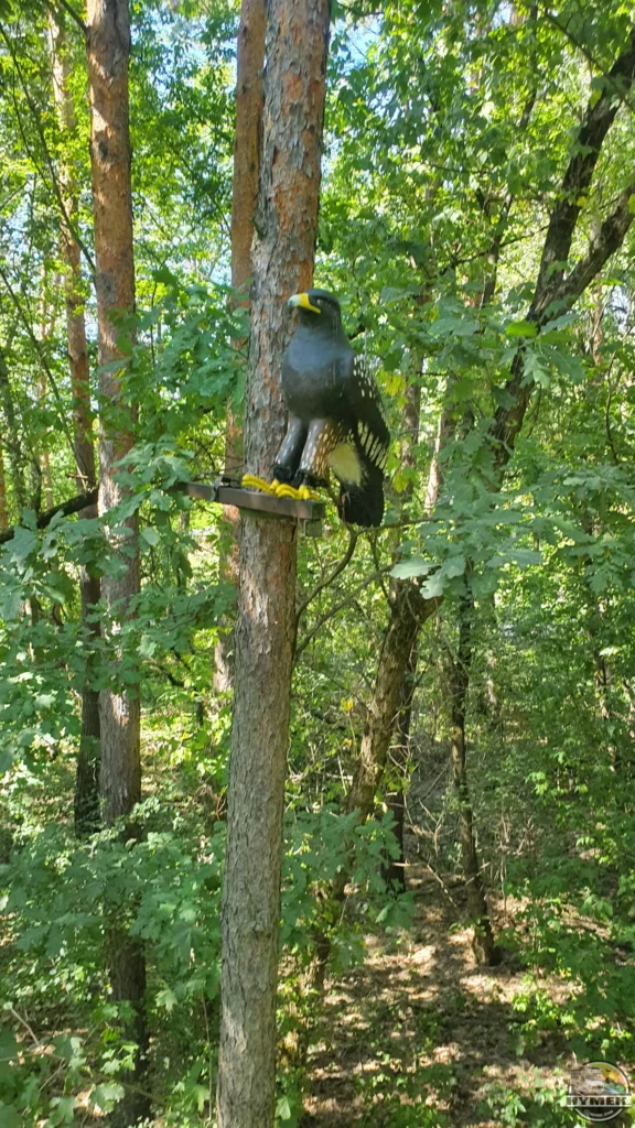 Park "Dolina Wkry" - Spacer w koronach drzew Pomiechówek - Hymek.pl