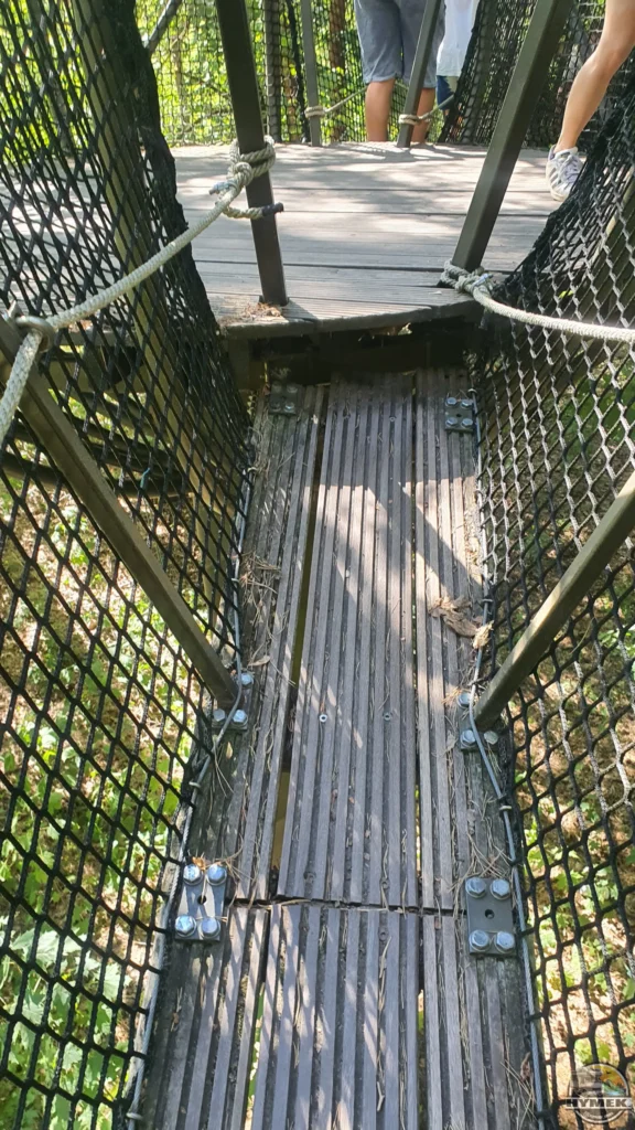 Park "Dolina Wkry" - Spacer w koronach drzew Pomiechówek - Hymek.pl