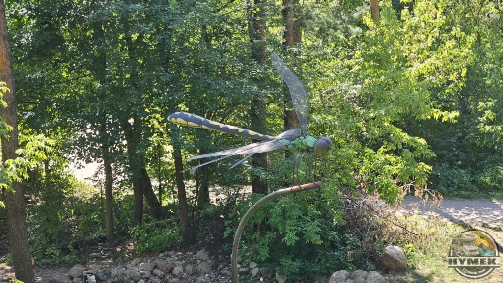 Park "Dolina Wkry" - Spacer w koronach drzew Pomiechówek - Hymek.pl