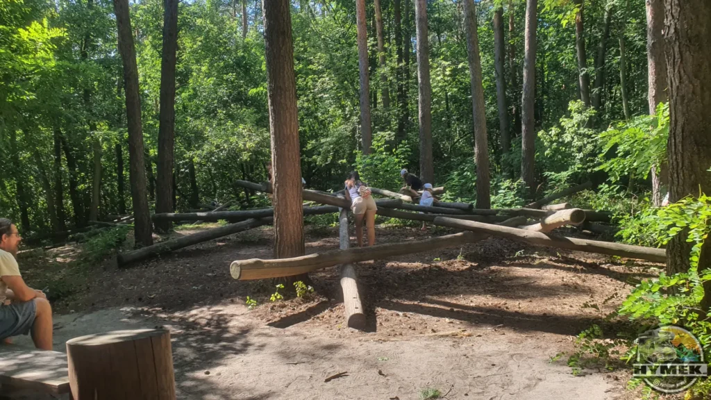 Park "Dolina Wkry" - Spacer w koronach drzew Pomiechówek - Hymek.pl