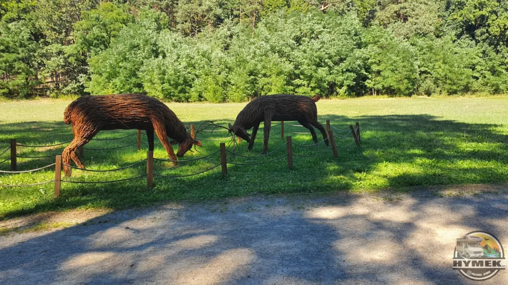 Park "Dolina Wkry" - Spacer w koronach drzew Pomiechówek - Hymek.pl