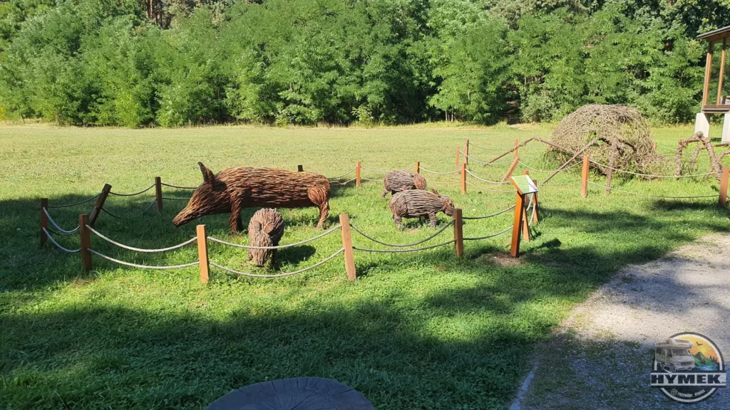 Park "Dolina Wkry" - Spacer w koronach drzew Pomiechówek - Hymek.pl