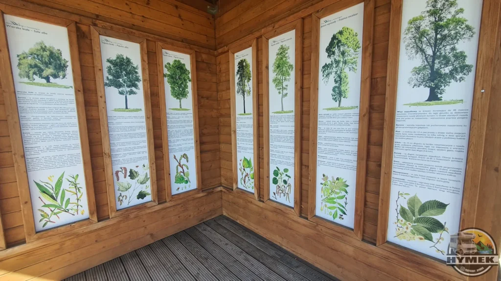 Park "Dolina Wkry" - Spacer w koronach drzew Pomiechówek - Hymek.pl