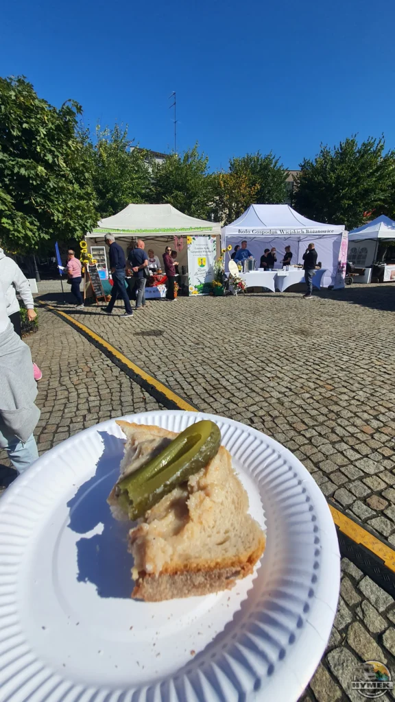 Festiwal Podróżników w Kutnie - Hymek.pl