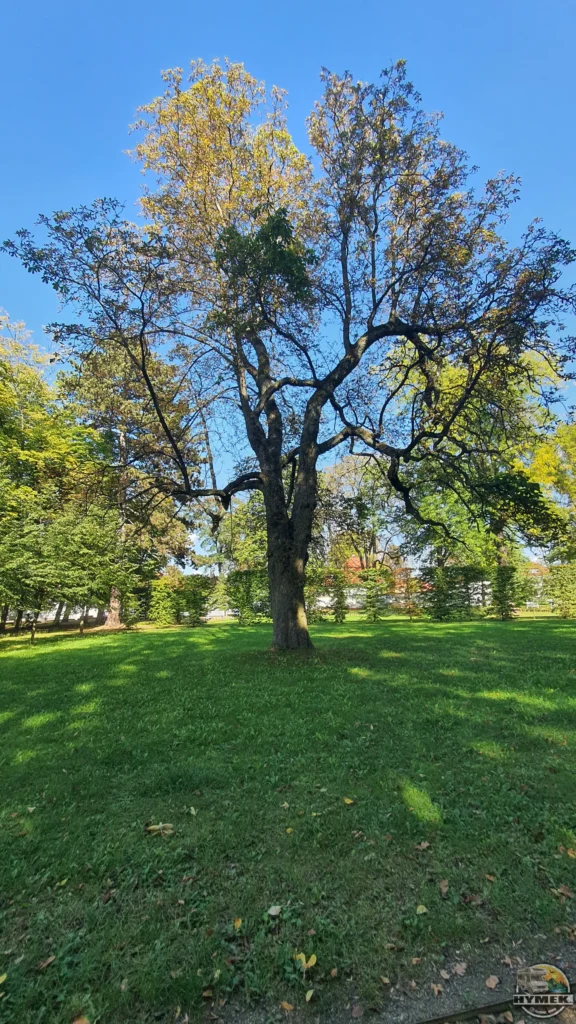 Muzeum Bitwy nad Bzurą i Park Wiosny Ludów - Hymek.pl