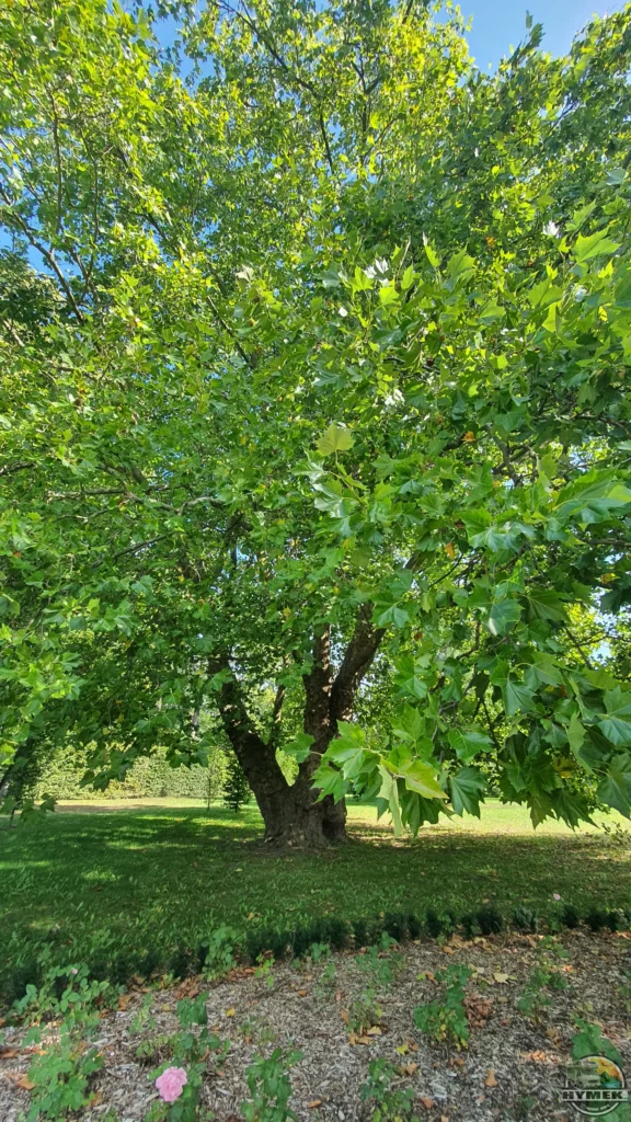 Muzeum Bitwy nad Bzurą i Park Wiosny Ludów - Hymek.pl