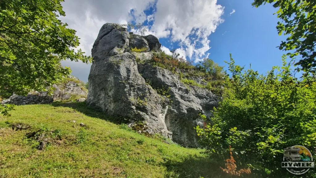 Rezerwat przyrody Góra Zborów - Podlesice - Hymek.pl