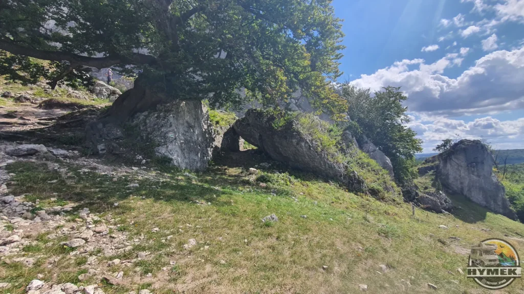Rezerwat przyrody Góra Zborów - Podlesice - Hymek.pl