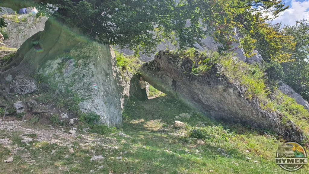 Rezerwat przyrody Góra Zborów - Podlesice - Hymek.pl