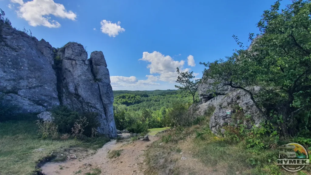 Rezerwat przyrody Góra Zborów - Podlesice - Hymek.pl