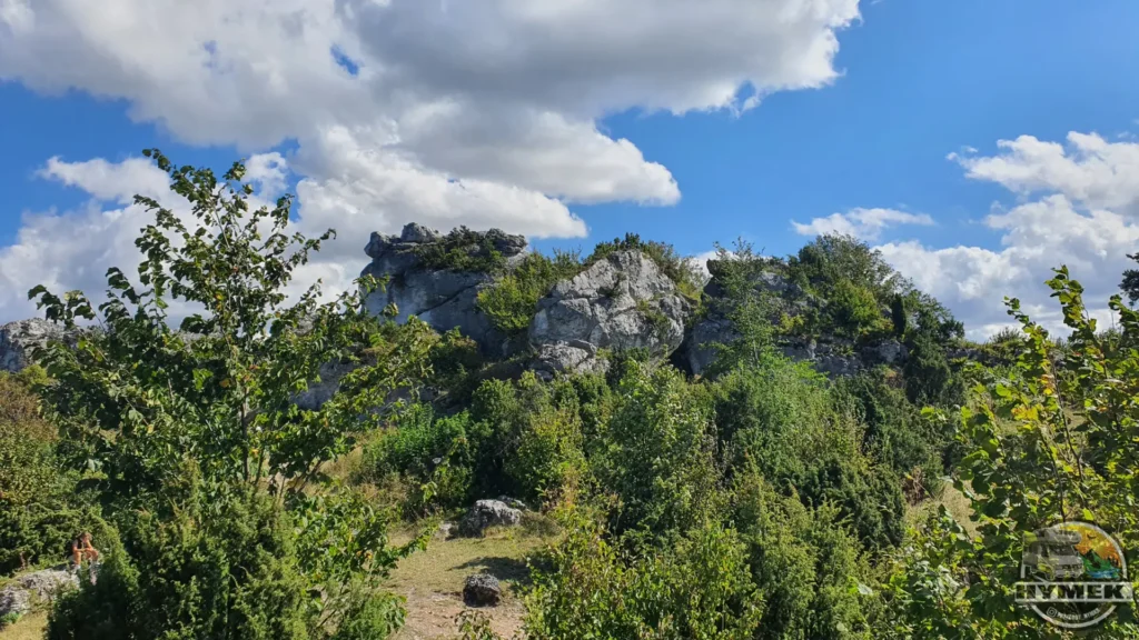 Rezerwat przyrody Góra Zborów - Podlesice - Hymek.pl