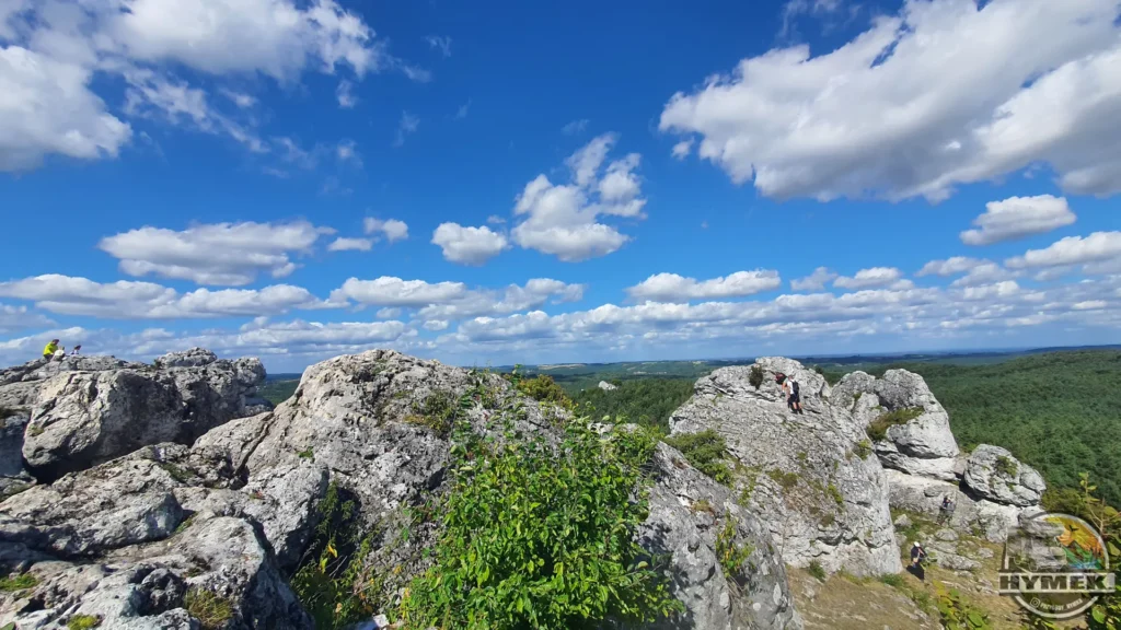 Rezerwat przyrody Góra Zborów - Podlesice - Hymek.pl