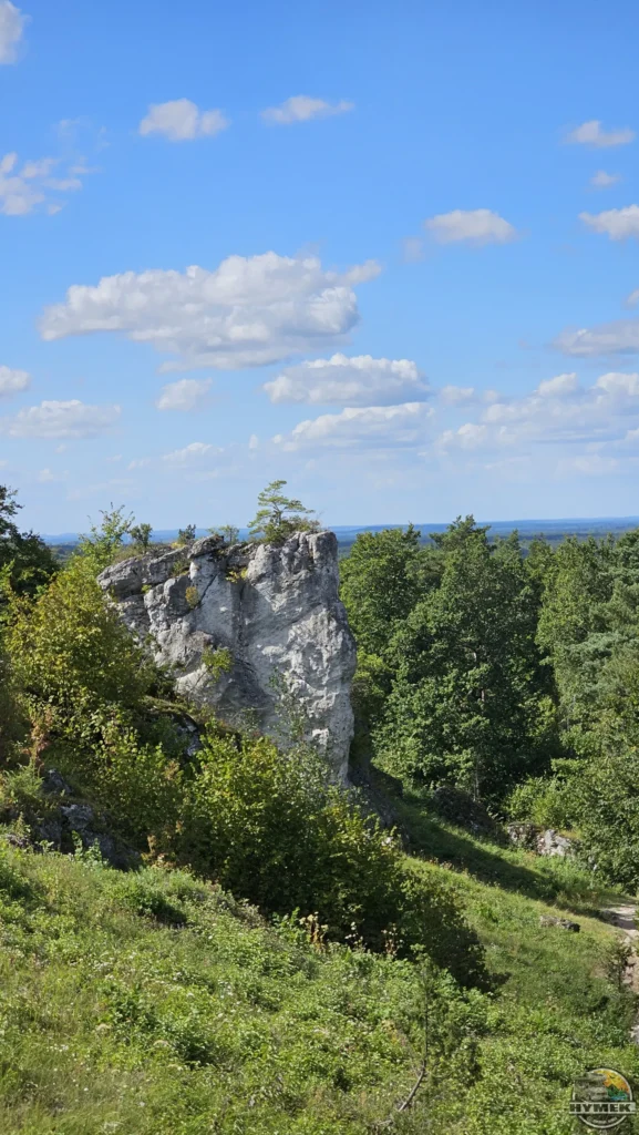 Rezerwat przyrody Góra Zborów - Podlesice - Hymek.pl