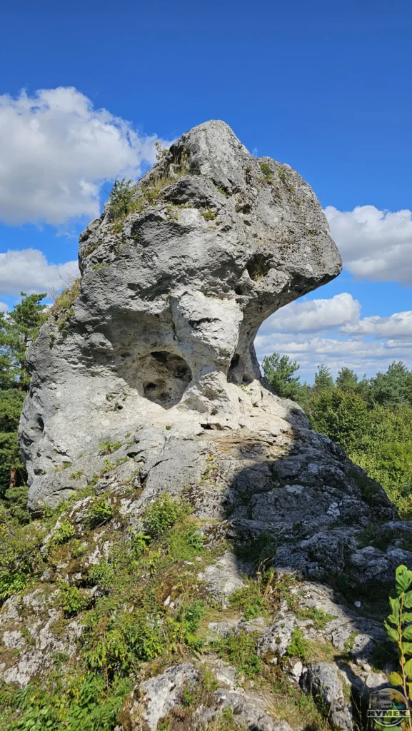 Rezerwat przyrody Góra Zborów - Podlesice - Hymek.pl