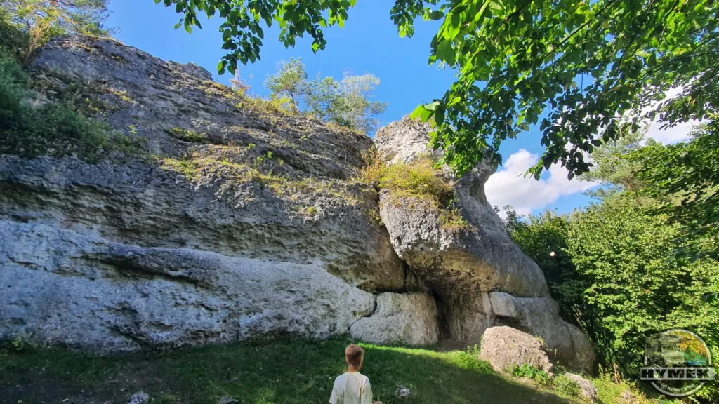 Rezerwat przyrody Góra Zborów - Podlesice - Hymek.pl