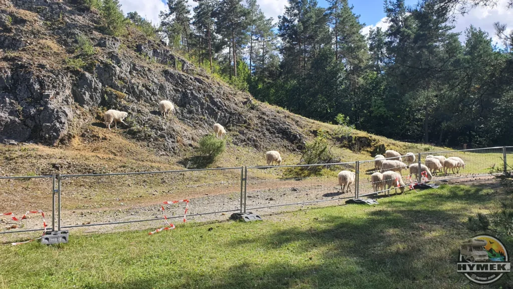 Rezerwat przyrody Góra Zborów - Podlesice - Hymek.pl