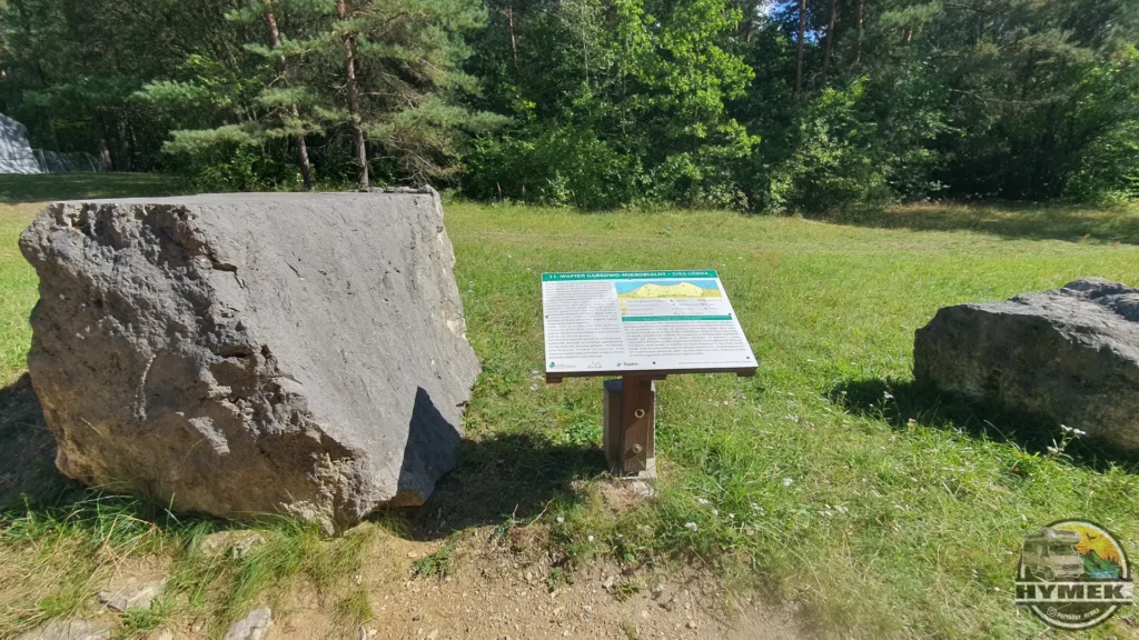 Rezerwat przyrody Góra Zborów - Podlesice - Hymek.pl