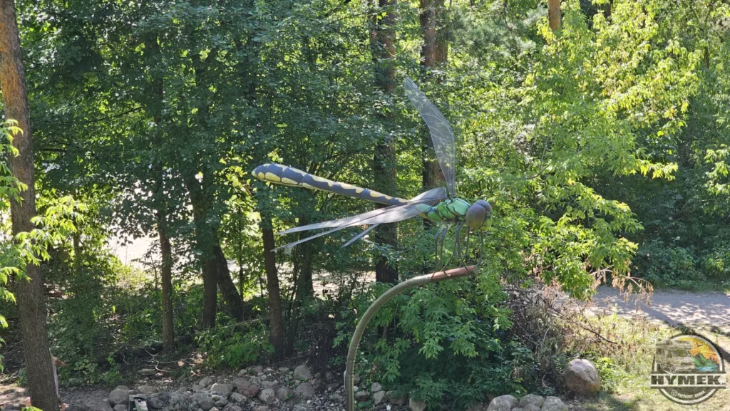 spacer w koronach drzew w Pomiechówku - Hymek.pl