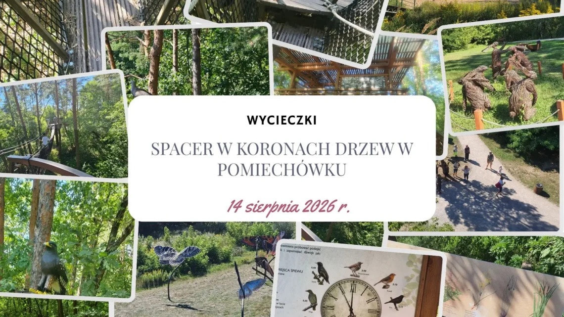 Ptasia perspektywa i wodny plac zabaw – spacer w koronach drzew w Pomiechówku i okolice - Hymek.pl