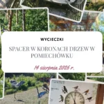 Ptasia perspektywa i wodny plac zabaw – spacer w koronach drzew w Pomiechówku i okolice - Hymek.pl