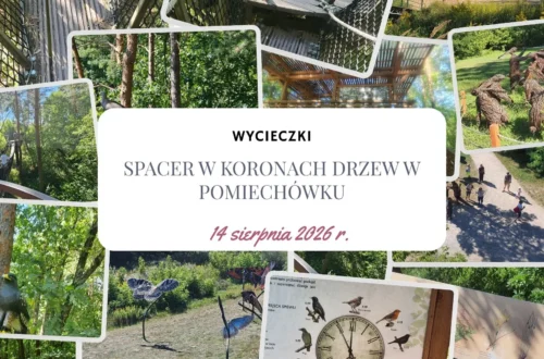 Ptasia perspektywa i wodny plac zabaw – spacer w koronach drzew w Pomiechówku i okolice - Hymek.pl