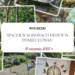 Ptasia perspektywa i wodny plac zabaw – spacer w koronach drzew w Pomiechówku i okolice - Hymek.pl