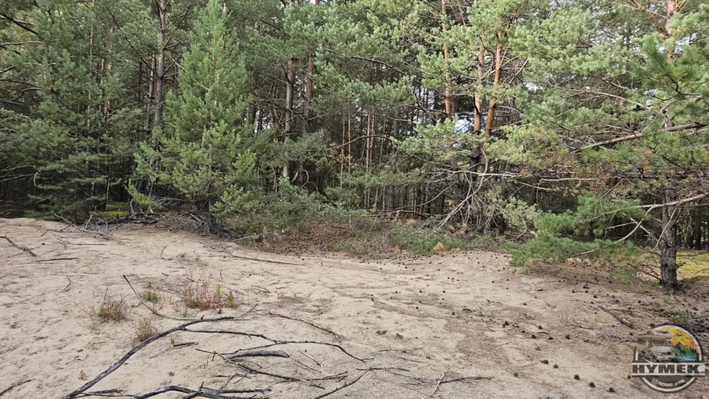 Rowerowa przygoda na Pustyni Błędowskiej - Hymek.pl